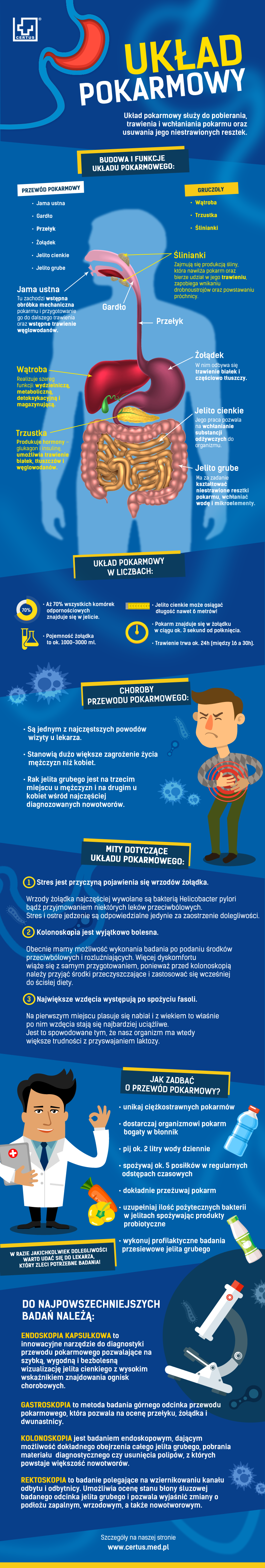 infografika układ pokarmowy